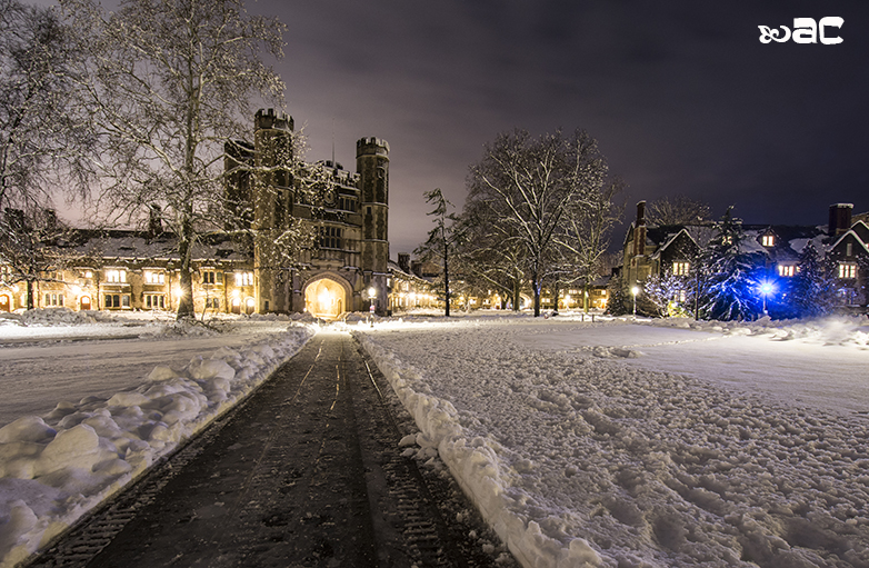 A midnight fairy tale