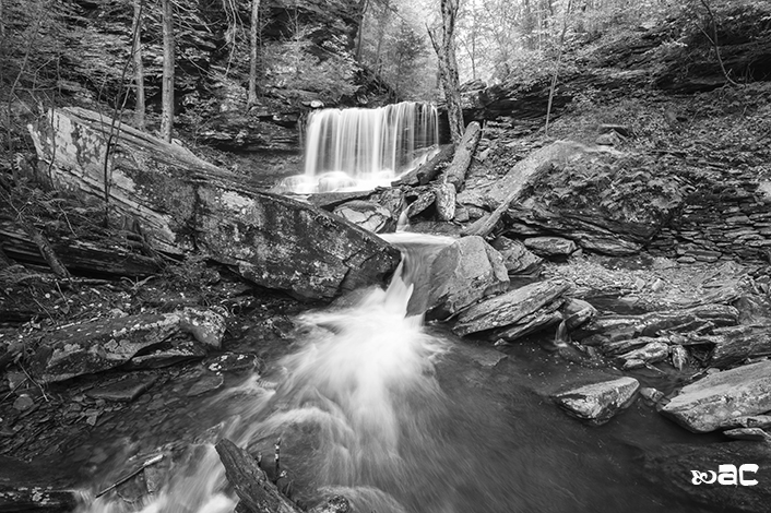 Ricketts Glen State Park