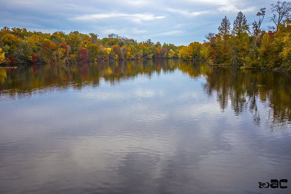 Lake Carnegie, Princeton