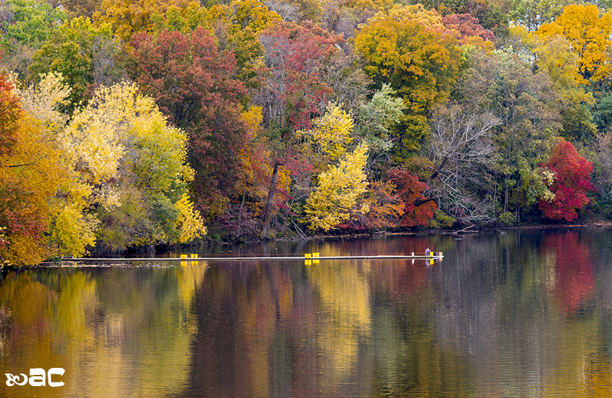 Fall in P-town