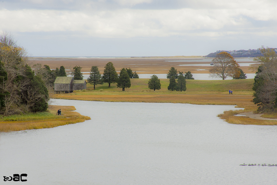 Cape Cod, MA