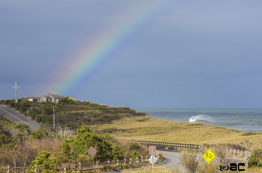 Cape Cod