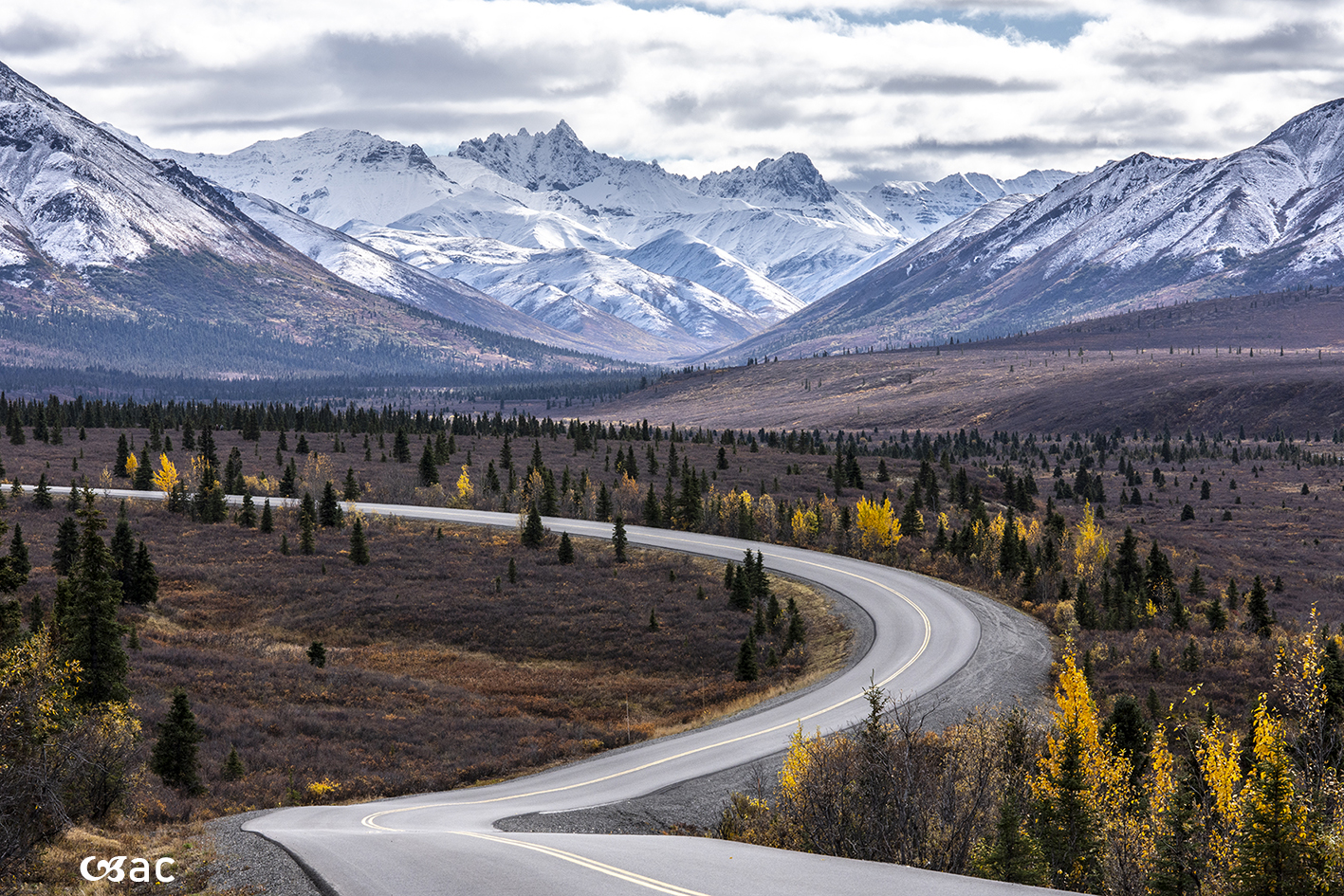 Denali NP in the Fall